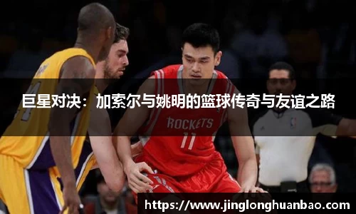 VSport-胜利因您更精彩