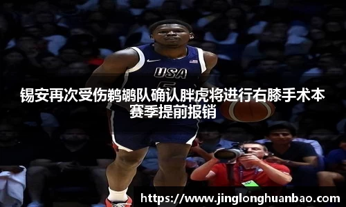 VSport-胜利因您更精彩